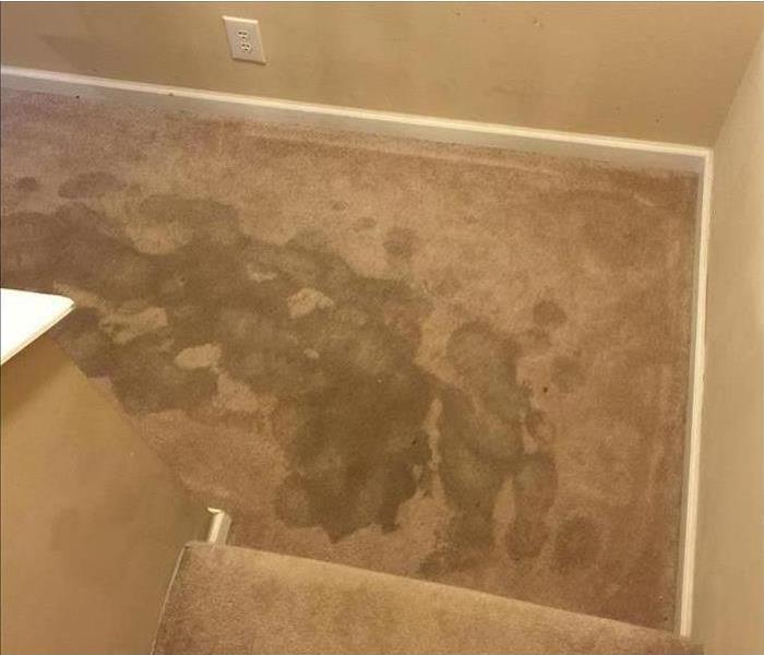 Carpet with water damage